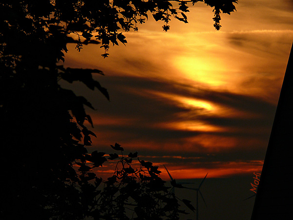 Sonnenuntergang © Martina Hildebrand 2013